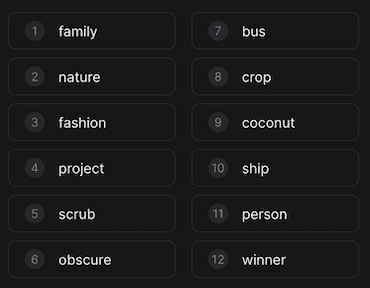 Braavos Wallet Seed Phrase Challenge